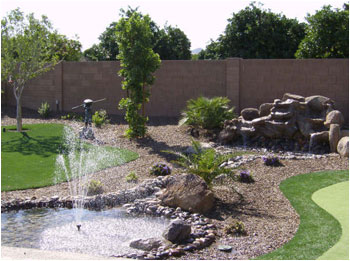 Arizona Back Yard Landscape Ideas