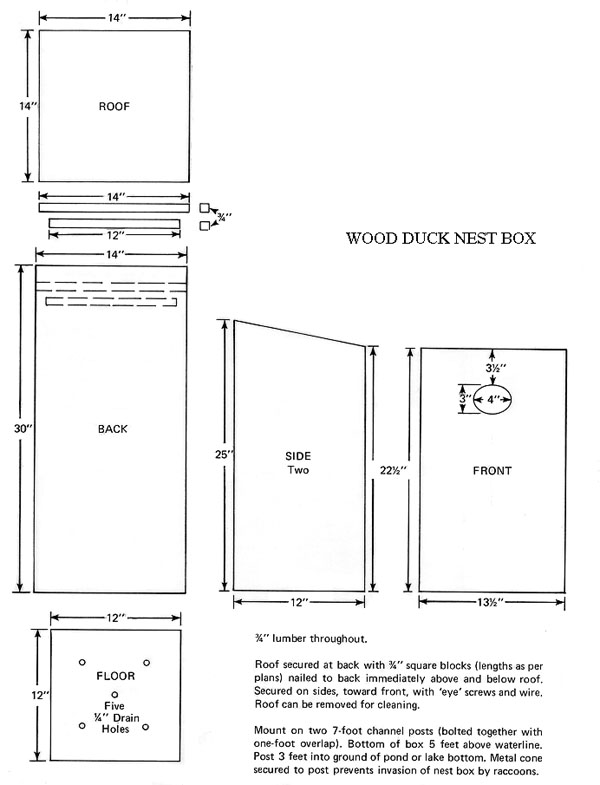 Wood Duck Box Plans