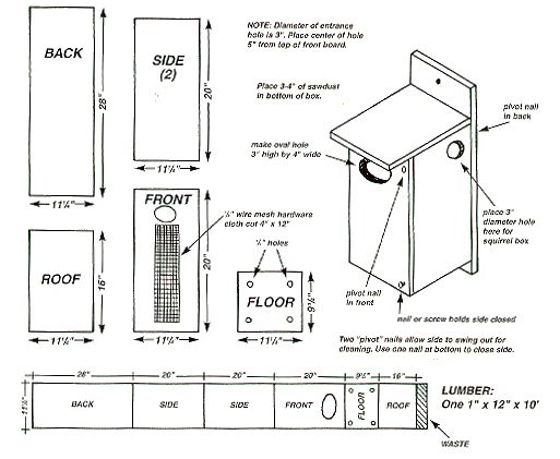 Homemade Wooden Duck Box Blueprints 76