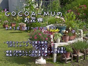 COCOA-MUのお花畑2012