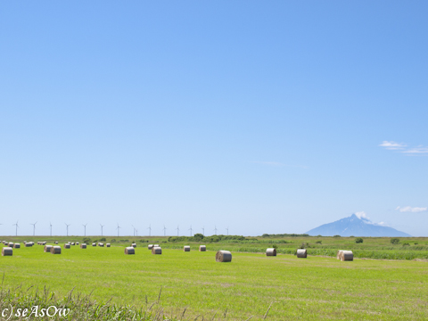 牧草ロールと利尻富士と風力発電所
