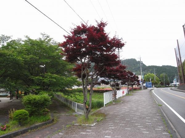 R0014193_convert_20130602091143.jpg