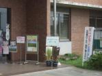 古代蓮会館「田んぼアート」に使用した稲の展示