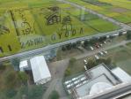 行田の田んぼアート「のぼうの城」。下の文字も稲で描かれてます。加工画像ではありません。
