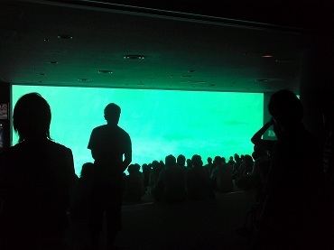 20120805-7.jpg