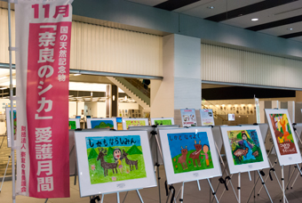 企画展示「第９回国の天然記念物「奈良のシカ」保護啓発ポスターコンクール展」、様子