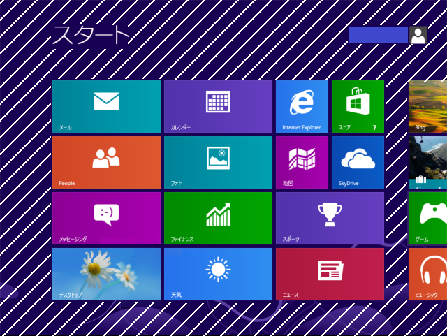 Win8_panel.png
