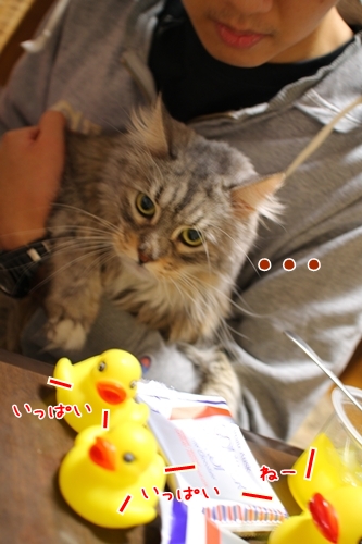G131219_13.jpg