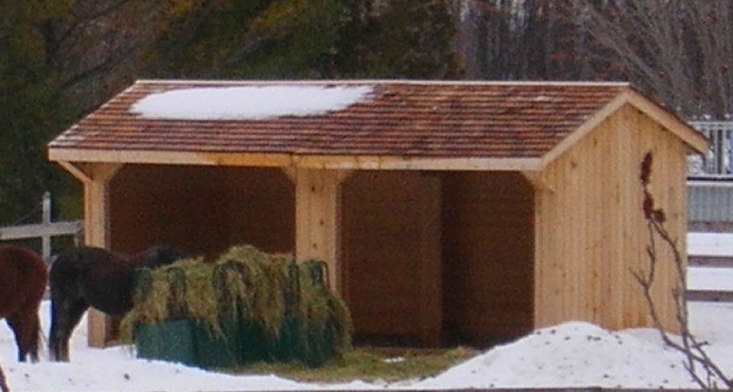 Run-in Shed Plans by 8'x10'x12'x14'x16'x18'x20'x22 ...