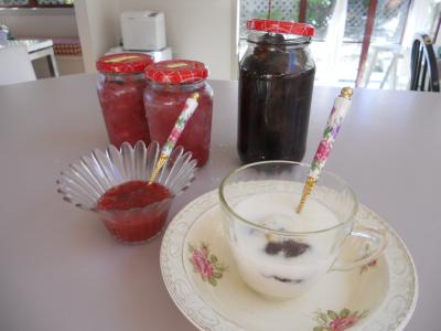 Rhubarb sauce & Yoghurt