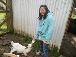 Renon & milking goat