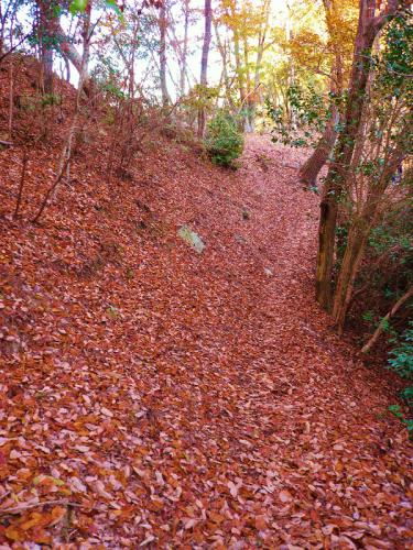 path in autumn color