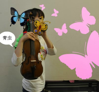 violinaomusi1.jpg