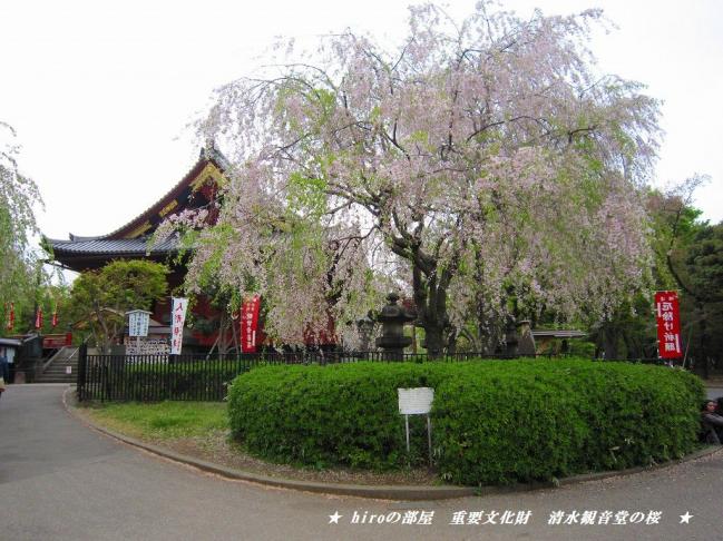 hiroの部屋　重要文化財　清水観音堂の桜