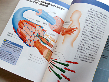 はじめての解剖学1