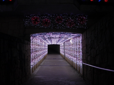 20131203_大阪府茨木市_いばらき光の回廊～冬のフェスティバル～05r