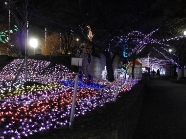 20131203_大阪府茨木市_いばらき光の回廊～冬のフェスティバル～07r