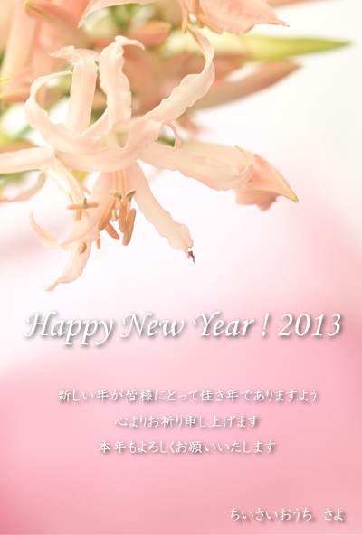 Happy New Year ! 2013