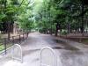 SH383300.jpg