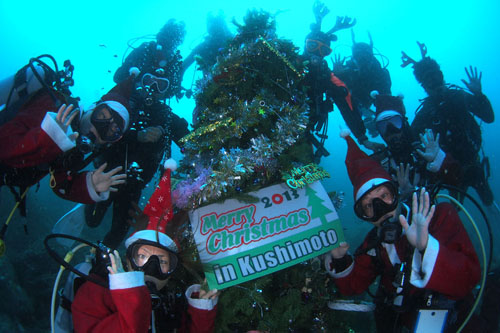 串本　水中クリスマスツリー20141129