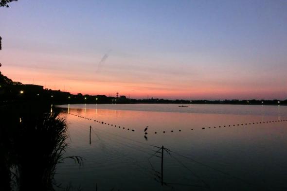 20120530-426.jpg