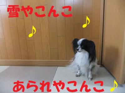DSCF2255yukif.jpg