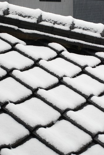 DSC_0075_20130118203914.jpg