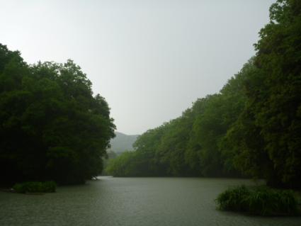 20120506相模湖大雨1