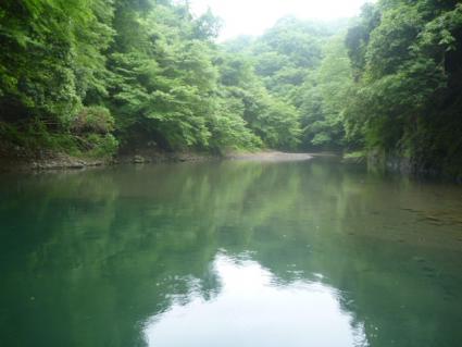 20120701相模湖秋山川上流