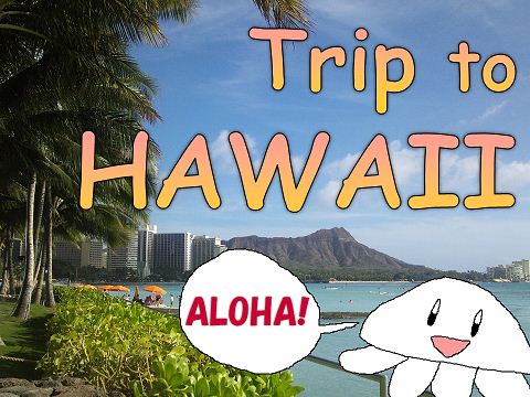 Trip to HAWAII