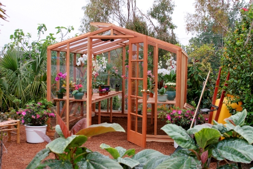 Free Wooden Greenhouse Plans