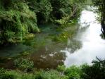 柿田川湧水水源。