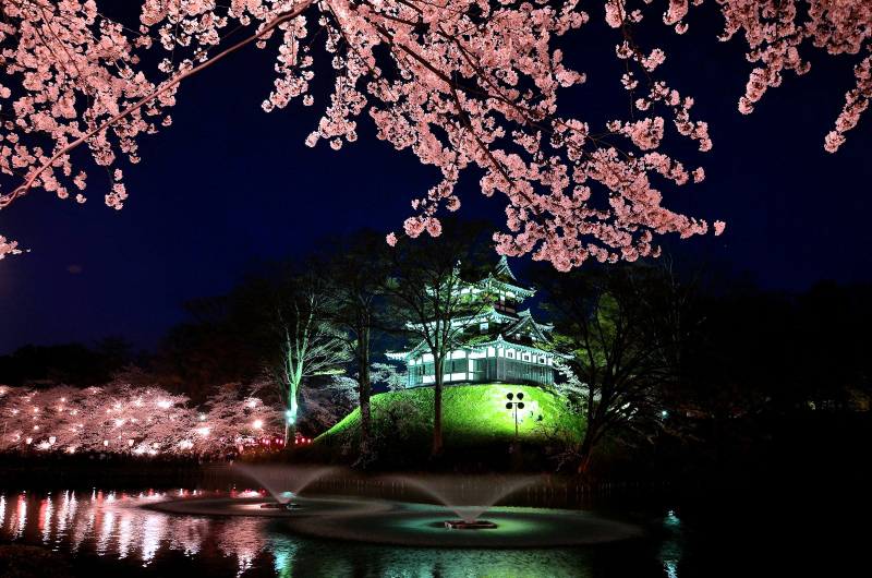 13.04.15-1夜桜